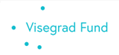Workshop bol financovaný z Medzinárodného višegradskeho fondu V4